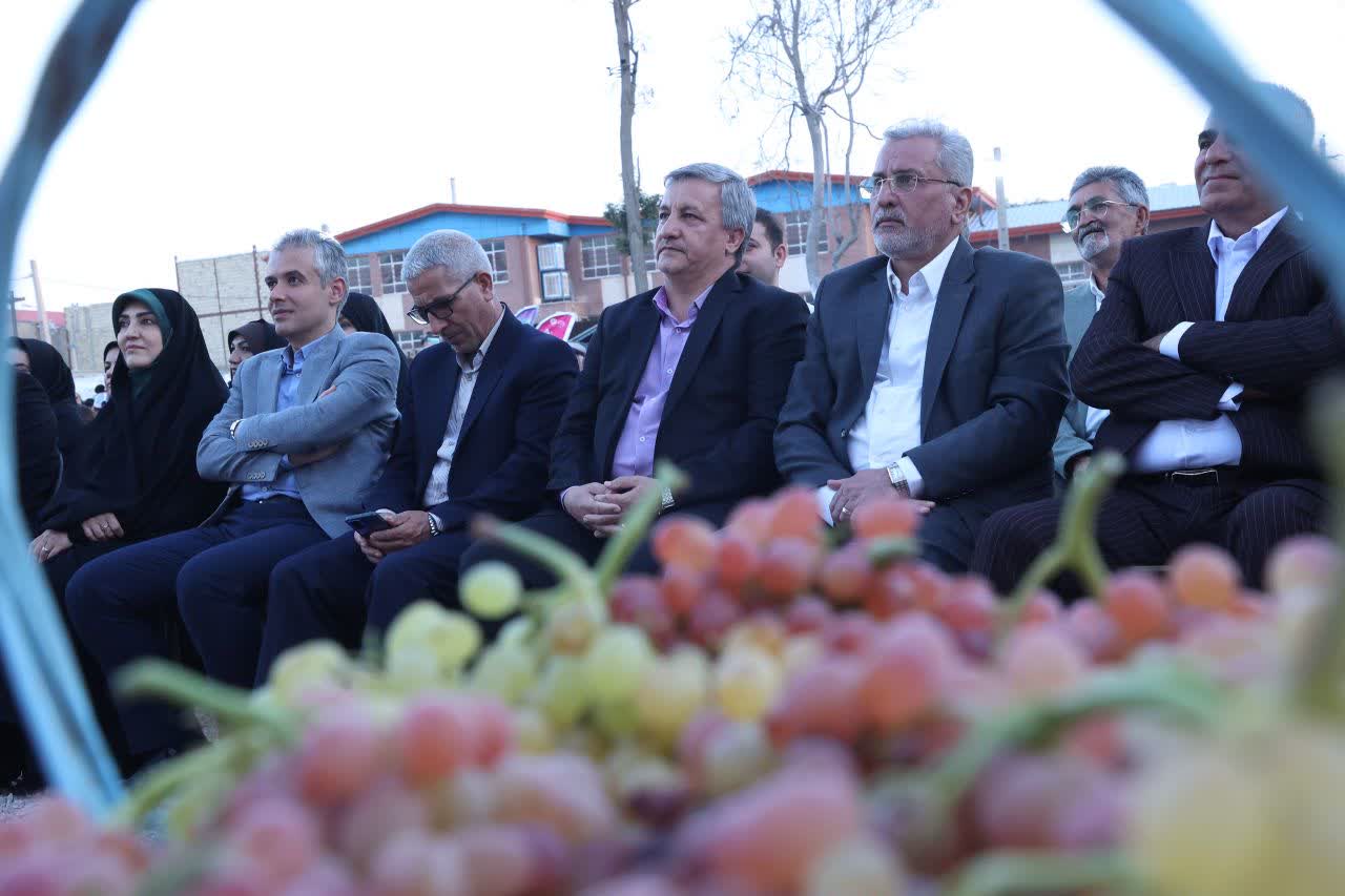 انگور تاکستان، پیشران توسعه اقتصادی و نماد نشاط اجتماعی استان قزوین است