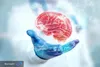 کشف کلید مولکولی پیری مغز؛ تغذیه می‌تواند بخشی از روند فرسایش عصبی را معکوس کند