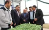 استاندار مازندران: تولید محصولات گلخانه‌ای باید باکیفیت،استاندارد و صادرات‌محور توسعه یابد