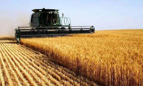 تحریم، مسیر تولید داخلی را متوقف نمی‌کند/  ۸۵ درصد نیاز غذایی در داخل تولید می‌شود