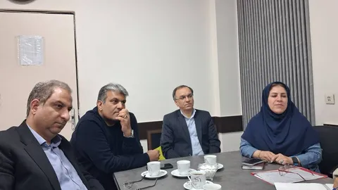 ستاد راهبردی ورزش‌های پرمدال پایه و المپیکی خراسان رضوی تشکیل شد