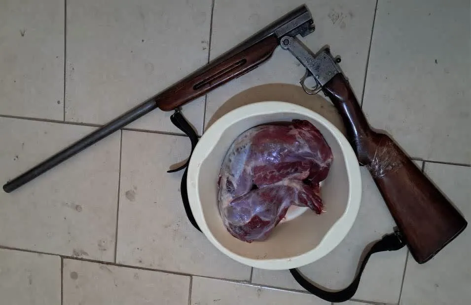 یک شکارچی غیرمجاز در آوج دستگیر شد