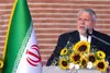 صالحی امیری: گردشگری با وجود جنگ متوقف نشده است