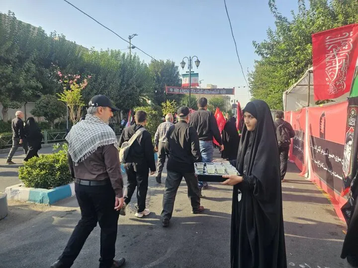 جاماندگان جاماندگان