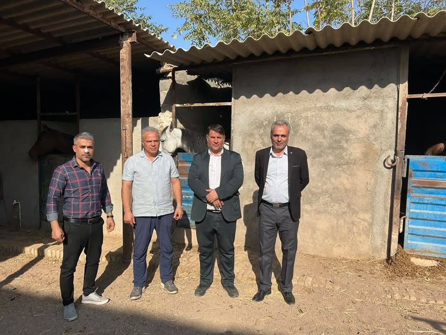 باشگاههای سوارکاری بویین زهرا می توانند میزبان رویدادهای شو سواره باشند