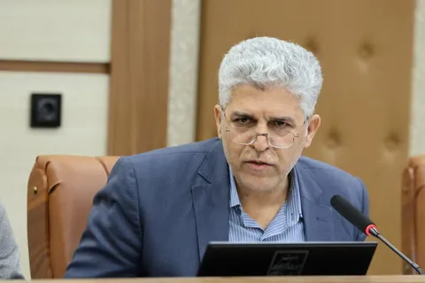 زاهدیان نژاد: تشکل‌های حرفه‌ای گردشگری فارس تقویت می‌شوند
