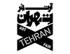 انتشار فراخوان برای حضور فضا‌های فرهنگی و هنری در «ماه هنر تهران ۱۴۰۵»