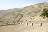 آزادسازی ۳۸ هزار مترمربع از اراضی کشاورزی تفت