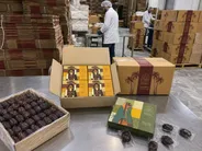 حاجی‌آباد آماده برداشت ۵۸ هزار تن خرما