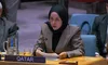کشورهای گروه عرب سازمان ملل: صلح منطقه‌ای منوط به پایان اشغالگری اسرائیل است