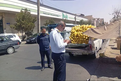 آغاز اجرای طرح ضربتی جمع‌آوری خودرو‌های اسقاطی در پایتخت