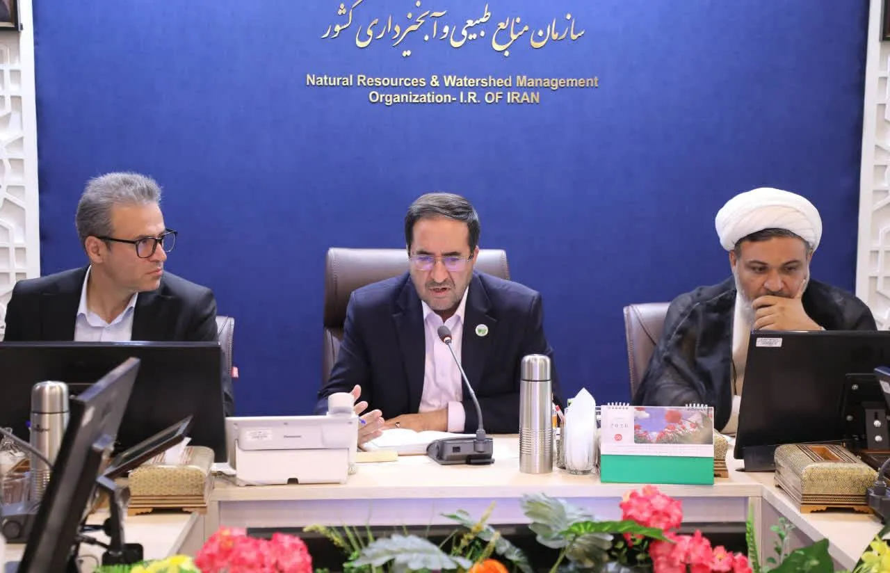 اجرای برنامه‌های منابع طبیعی نیازمند تنوع‌بخشی به منابع مالی است