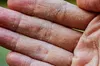 تبعات نگهداری از حیوانات غیر خانگی در خانه