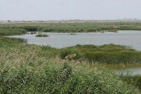 تالاب آلاگل و تالاب گمیشان شرایط خوبی ندارند