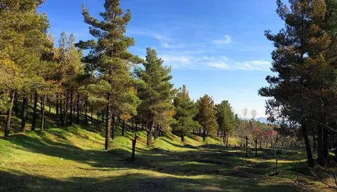 لویزان، مقصدی سبز در شمال‌شرق تهران