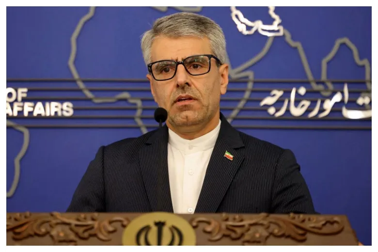 بقائی: اروپا اگر امکانات در اختیار متجاوز قرار دهد باید پاسخگو باشد