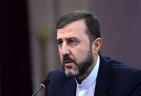 غریب‌آبادی: حقوق بشر در قاموس آمریکا تا زمانی محترم است که به رژیم صهیونیستی نرسد