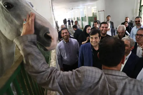 دنیامالی: مجموعه سوارکاری نوروزآباد باید با اولویت احیای زمین چوگان بازسازی شود