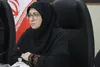 قول پیگیری تالاب هامون در سطح ملی توسط رییس سازمان محیط زیست کشور