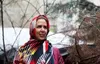 تهیه‌کننده «پایتخت»: از قافله وطن عقب نمانید