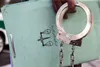 دستگیری برادران قاپ زن معروف