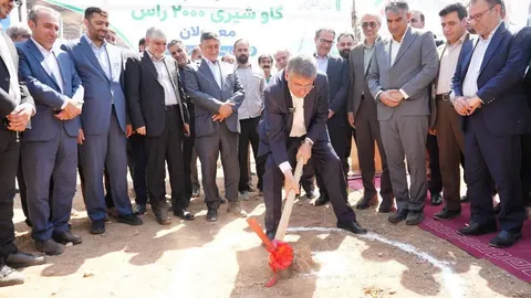 استاندار لرستان  پای کار تحقق وعده‌های سفر رئیس‌جمهور/ گاوداری ۲هزار رأسی معمولان کلنگ‌زنی شد