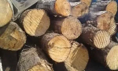 کشف ۵۰ تن چوب قاچاق در چهارباغ