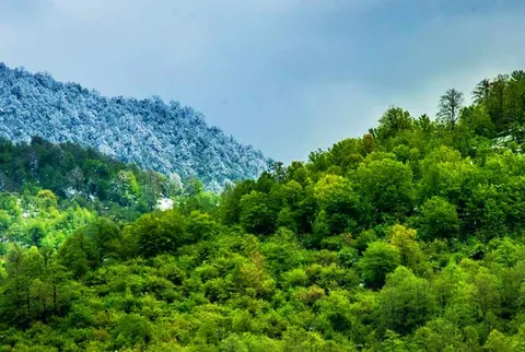 پیشنهاد ارتقای سطح حفاظتی ۳ منطقه طبیعی کشور در شورای عالی حفاظت محیط‌زیست