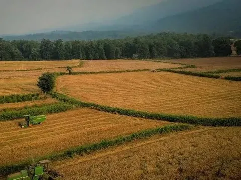 تولید محصولات کشاورزی کشور به ۱۳۷ میلیون تن رسید