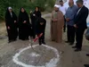 خانه هنر افراد دارای معلولیت در بندرعباس ساخته می‌شود