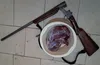 یک شکارچی غیرمجاز در آوج دستگیر شد