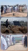 بهره‌برداری طرح تجهیز منابع آب ( شهید محمدبخش بی‌باک ) در منطقه عشایری بلسر لیپار