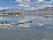 دوستی رضایی: بدون بارش کافی، مدیریت آب هم دریاچه ارومیه را نجات نمی‌دهد