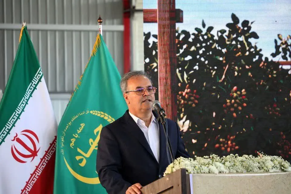 معاون وزیر جهاد کشاورزی: پسته از مهمترین محصولات صادراتی کشور است