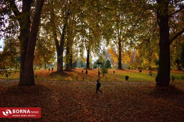 زیبایی&zwnj;های پاییز در کشمیر