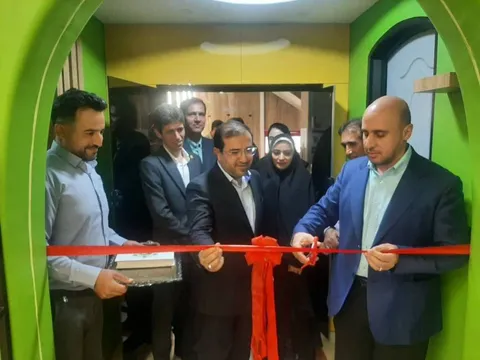 ۱۰۰ میلیارد ریال برای حمایت از کسب‌وکار بانوان در صنایع خلاق خراسان‌شمالی اختصاص یافت