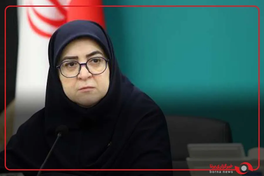 سخنگوی دولت : اقتصاد پابرجاست و به‌زودی اوراق گواهی نفت منتشر می‌شود