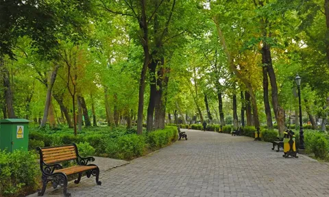 اجرای ۴۲ تور گردشگری و تفریحی با هدف نشاط اجتماعی در منطقه ۷