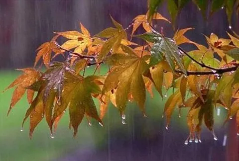 آغاز بارش‌های پاییزی در ایلام از امروز/ هشدار هواشناسی درباره وزش باد شدید