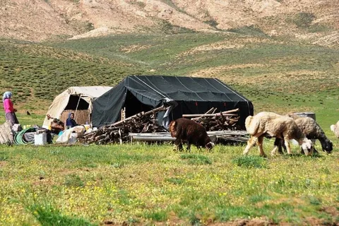 گام‌های تازه برای توسعه زیرساخت‌های عشایری گچساران، از آب تا راه