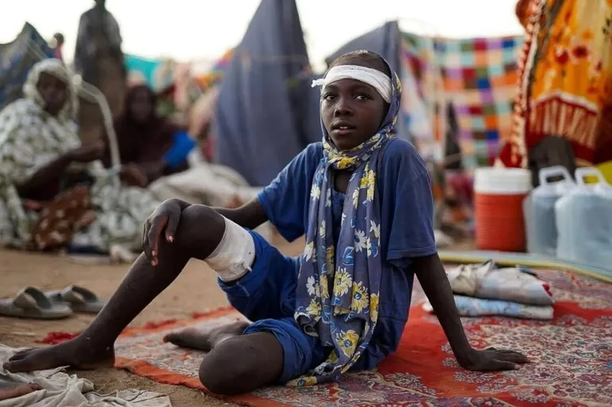 Sudan Envoy to Tehran Declares Al-Fasher a 'Tragic Page in History,' Demands Global Action Against RSF Atrocities