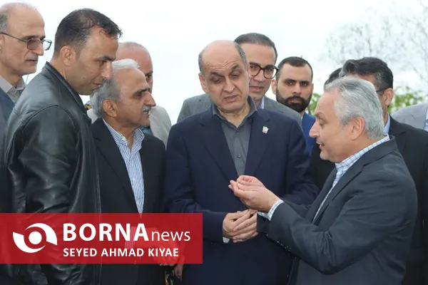 آیین برداشت چای بهاره