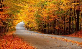 ۵ مقصد برای سفر یک‌روزه پاییزی اطراف تهران