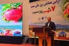 آغاز رقابت بزرگ در بازار‌های شرق آسیا و خلیج‌فارس؛ سیب ارومیه جهانی شد