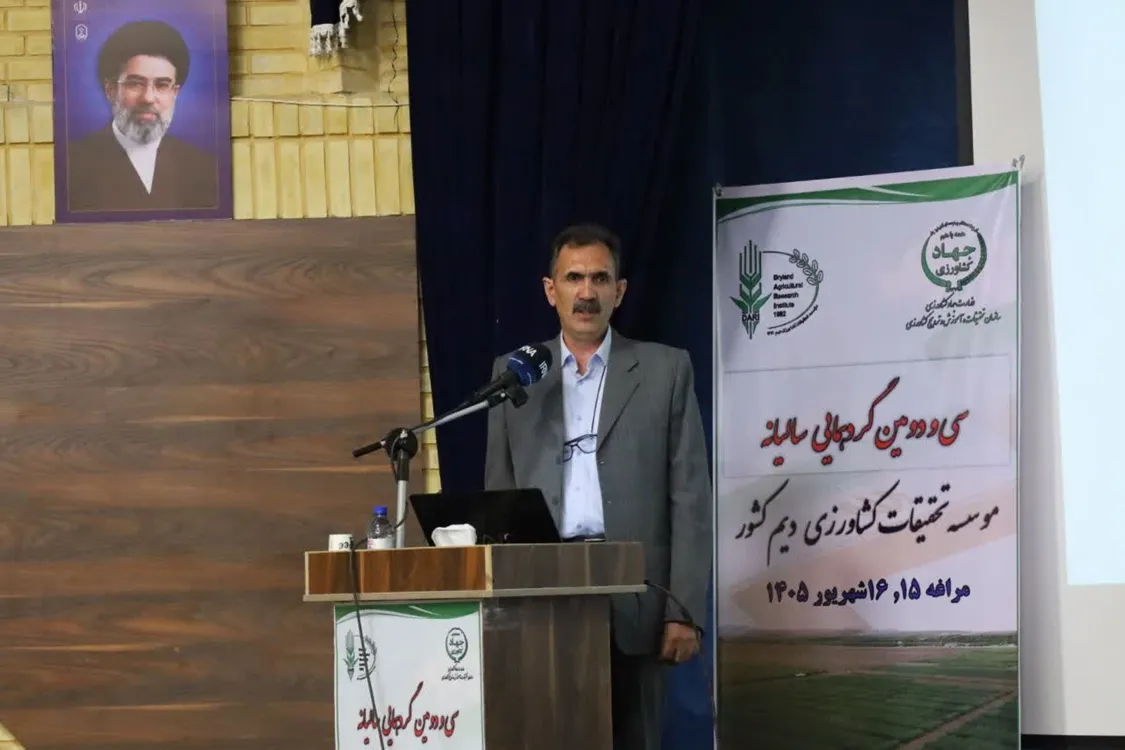 افزایش عملکرد محصولات دیم کشور با وجود کاهش بارندگی/ ۱۰ رقم جدید به سبد زراعی تا پایان سال اضافه می‌شود