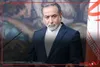 آثار جنگ بر محیط زیست یک بحث مهم در سطح بین المللی است ‌‌