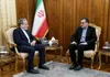 دیدار سفیر و نماینده دائم جمهوری اسلامی ایران نزد سازمان همکاری اسلامی با عراقچی