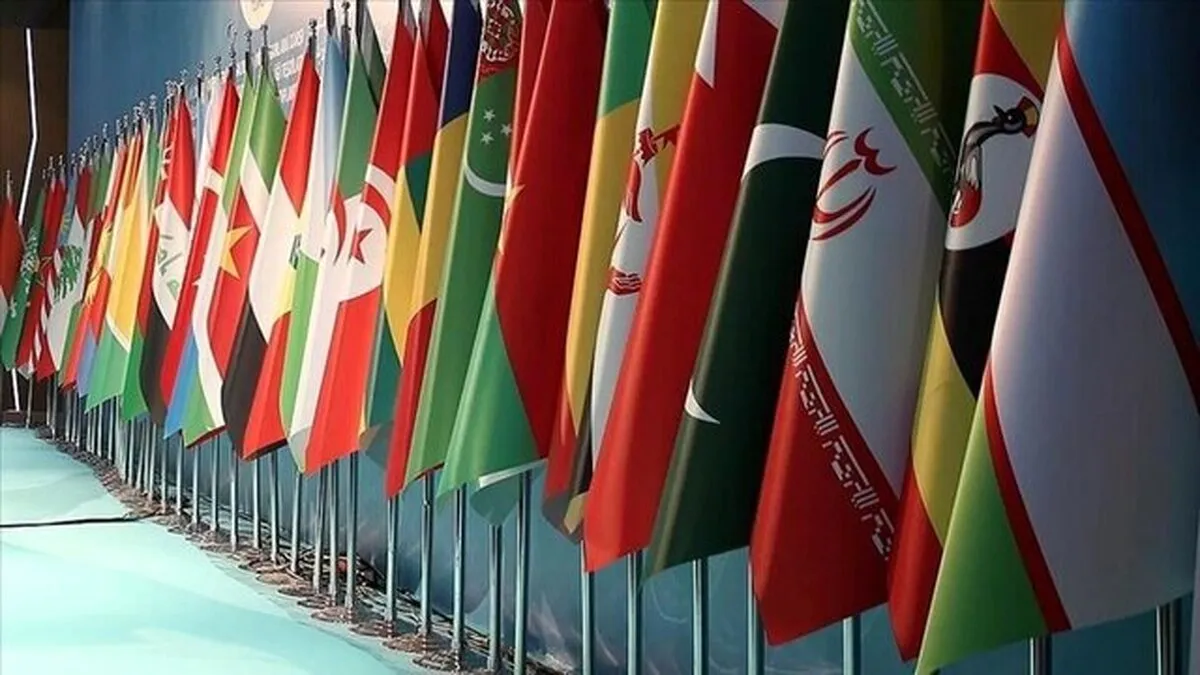 OIC Warns Against Any Cooperation in Forced Displacement of Palestinians