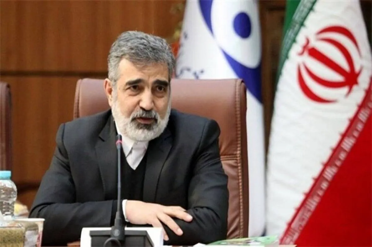 Kamalvandi: IAEA inspectors monitor refueling Bushehr nuclear plant