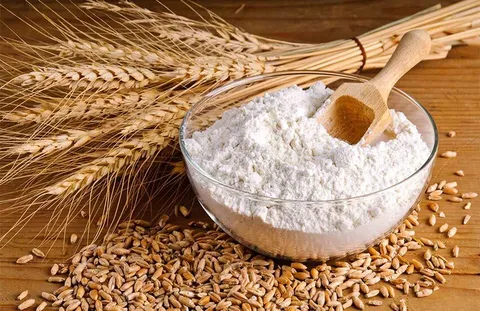 تعیین کیفیت گلوتن با تجهیزات ایران‌ساخت